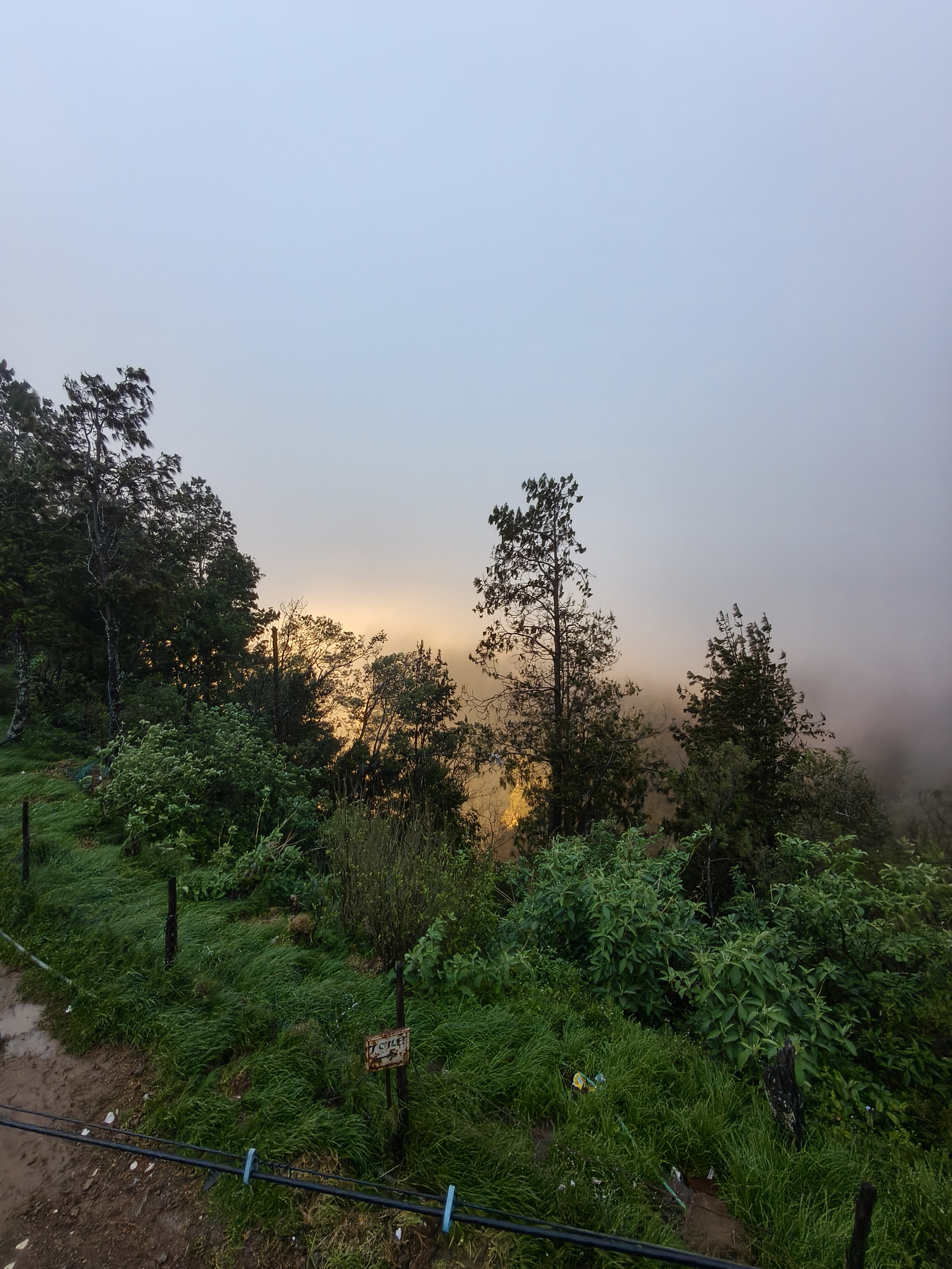 Kolukkumalai tea plantation with mist-covered mountains and dramatic cloudy sky